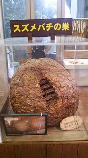 2013-08-13 14.49.54.jpg